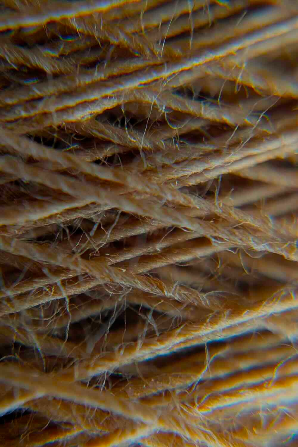 Kandu | 20s CCW Yarn